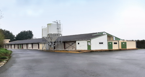 cession entreprise en filiere volaille en Bretagne